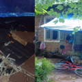 ആറളം പുനരധിവാസ മേഖലയിൽ ഭീതി വിതച്ച് മോഴയാന; വീടും ഷെഡ്ഡും തകർത്തു