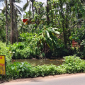 കുറ്റ്യാടിയിൽ തളീക്കര വേട്ടക്കൊരുമകൻ ക്ഷേത്രക്കുളം കൈയേറുന്നുവെന്ന് പരാതി; ക്ഷേത്ര കമ്മിറ്റി രംഗത്ത്