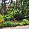 കുറ്റ്യാടിയിൽ തളീക്കര വേട്ടക്കൊരുമകൻ ക്ഷേത്രക്കുളം കൈയേറുന്നുവെന്ന് പരാതി; ക്ഷേത്ര കമ്മിറ്റി രംഗത്ത്