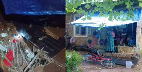 ആറളം പുനരധിവാസ മേഖലയിൽ ഭീതി വിതച്ച് മോഴയാന; വീടും ഷെഡ്ഡും തകർത്തു
