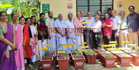 വളർത്താം ; വില്യാപ്പള്ളി  ആയുര്‍വേദ ആശുപത്രിയില്‍ ഔഷധ സസ്യത്തൈകൾ നൽകി ഒയിസ്‌ക 