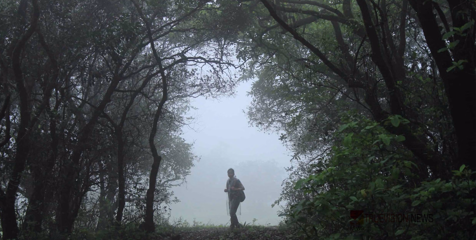 മഴയെ പ്രണയിക്കുന്നവരാണോ? എങ്കിൽ ബാഗ് പാക്ക് ചെയ്തോളൂ...! ഇതാ കോഴിക്കോടിന്റെ അഞ്ച് മഴക്കാല കേന്ദ്രങ്ങൾ