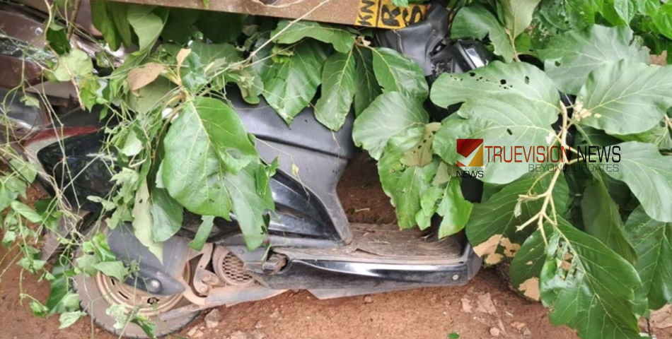 കൊയിലാണ്ടിയിൽ  മരം മുറിഞ്ഞുവീണ് അപകടം; ഇലക്ട്രിക് പോസ്റ്റ് ഒടിഞ്ഞ് നിർത്തിയിട്ടിരുന്ന സ്കൂട്ടറിന് മുകളിലേക്ക് വീണു