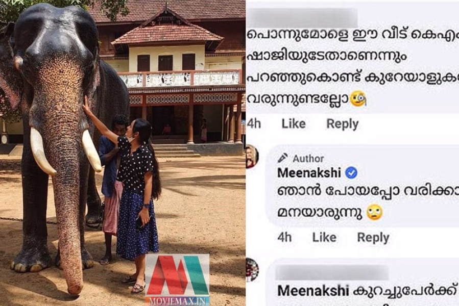  'ഞാന്‍ പോയപ്പോള്‍ വരിക്കാശ്ശേരി മനയായിരുന്നു' കമന്റ് ഇട്ടവര്‍ക്ക് മീനാക്ഷിയുടെ തകര്‍പ്പന്‍ മറുപടി 