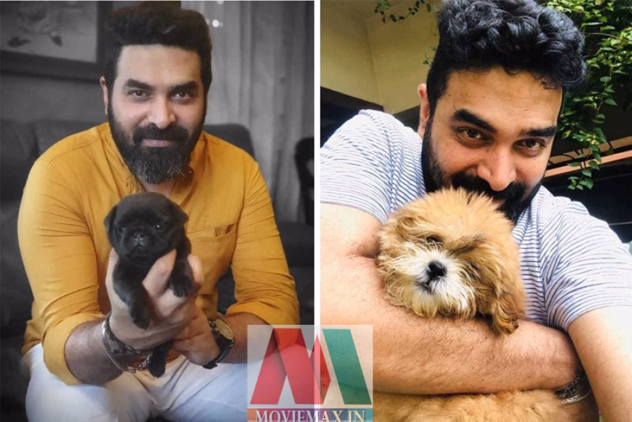 'ഇത് കാശിൻറെ തിളപ്പമല്ല സര്‍ 'ട്രോളെന്‍മാര്‍ക്ക്  പച്ചമറുപടിയുമായി  ഗോപി സുന്ദര്‍