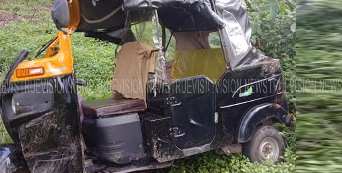 കാട്ടുപന്നി കുറുകെ ചാടി ഓട്ടോ യാത്രക്കാര്‍ക്ക് പരിക്ക്