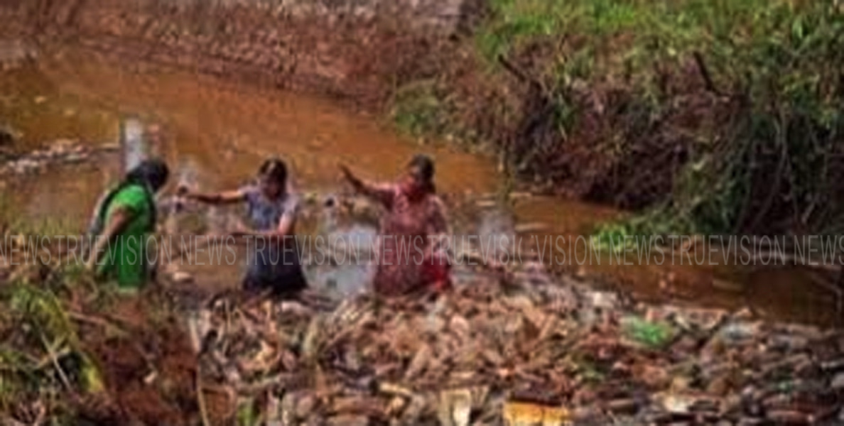 ജലാശയങ്ങള്‍ വീണ്ടടുത്ത് കായണ്ണയില്‍ സന്നദ്ധ പ്രവര്‍ത്തകരുടെ  കൂട്ടായ്മ