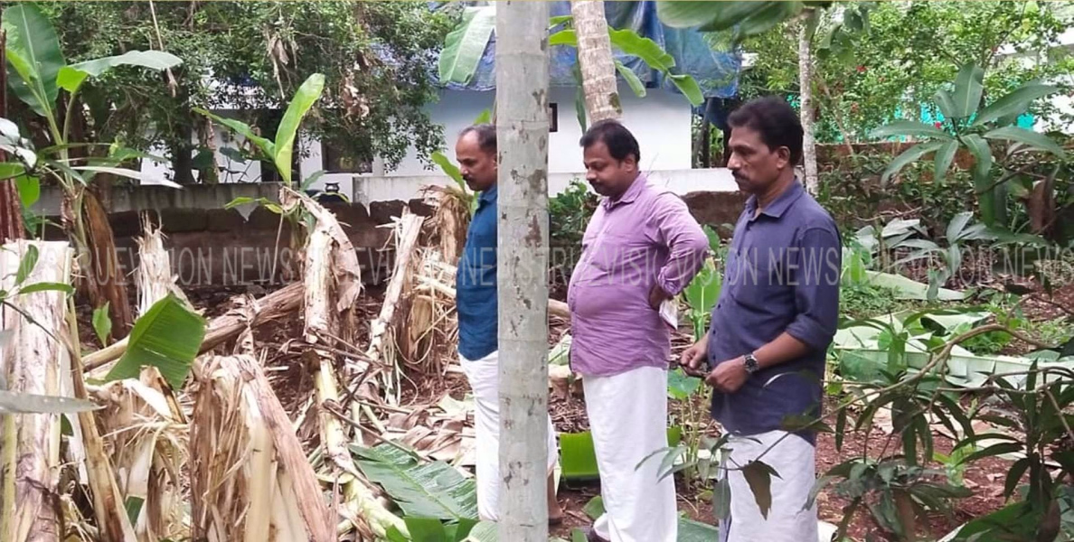 ജനവാസ മേഖലകളിലും കൃഷിയിടങ്ങളിലും പന്നിക്കൂട്ടത്തിന്റെ ശല്യം കൂടുന്നു; പന്നിക്കുട്ടം നശിപ്പിച്ച കൃഷി സ്ഥലം കര്‍ഷക സംഘം നേതാക്കള്‍ സന്ദര്‍ശിച്ചു