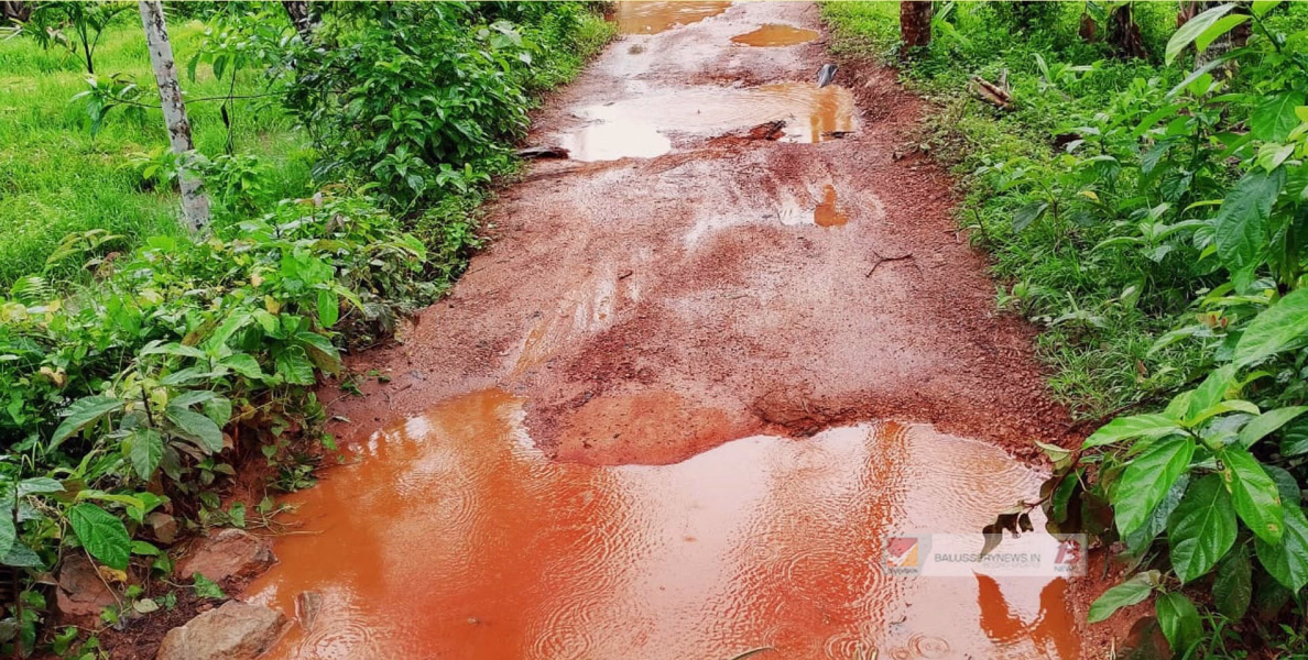 ചളിക്കുളമായി അലേമ്പ്ര താഴെക്കുനി വെങ്ങിലേരി താഴെ റോഡ്