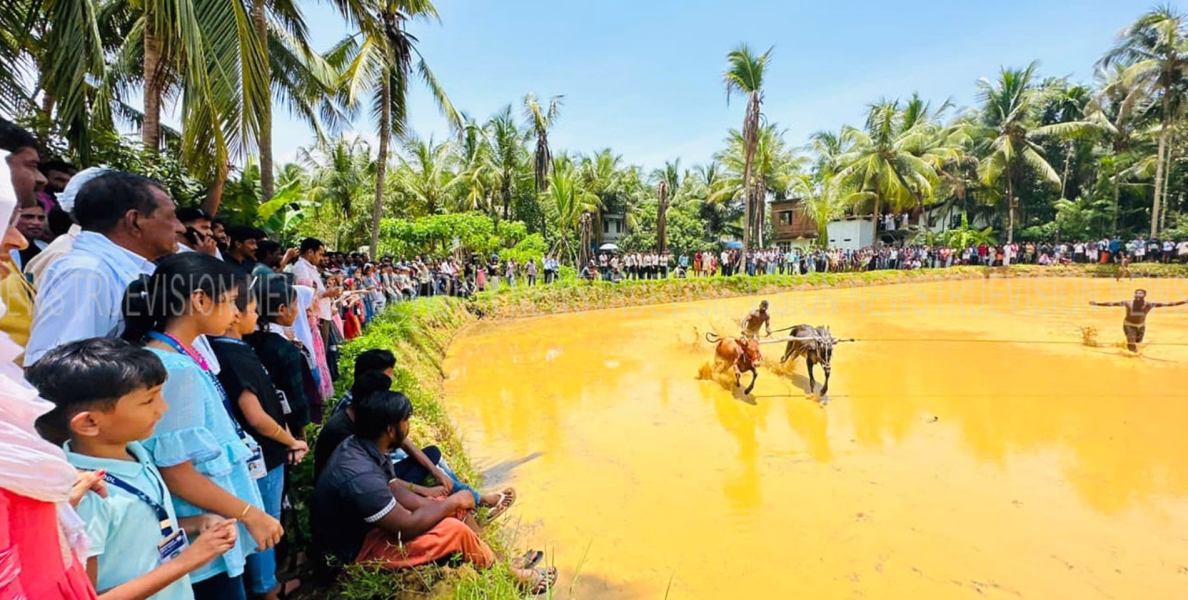 #Pullalur  |കാളപൂട്ട് മത്സരം കാണാന്‍ എരവന്നൂര്‍ എ.എം.എല്‍.പി  സ്‌കൂള്‍ വിദ്യാര്‍ത്ഥികളും