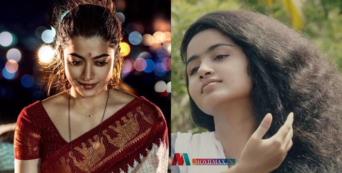 #Animal | അനിമലും പ്രേമവും തമ്മിലുള്ള സാമ്യം കണ്ടുപിടിച്ച് ആരാധകർ 