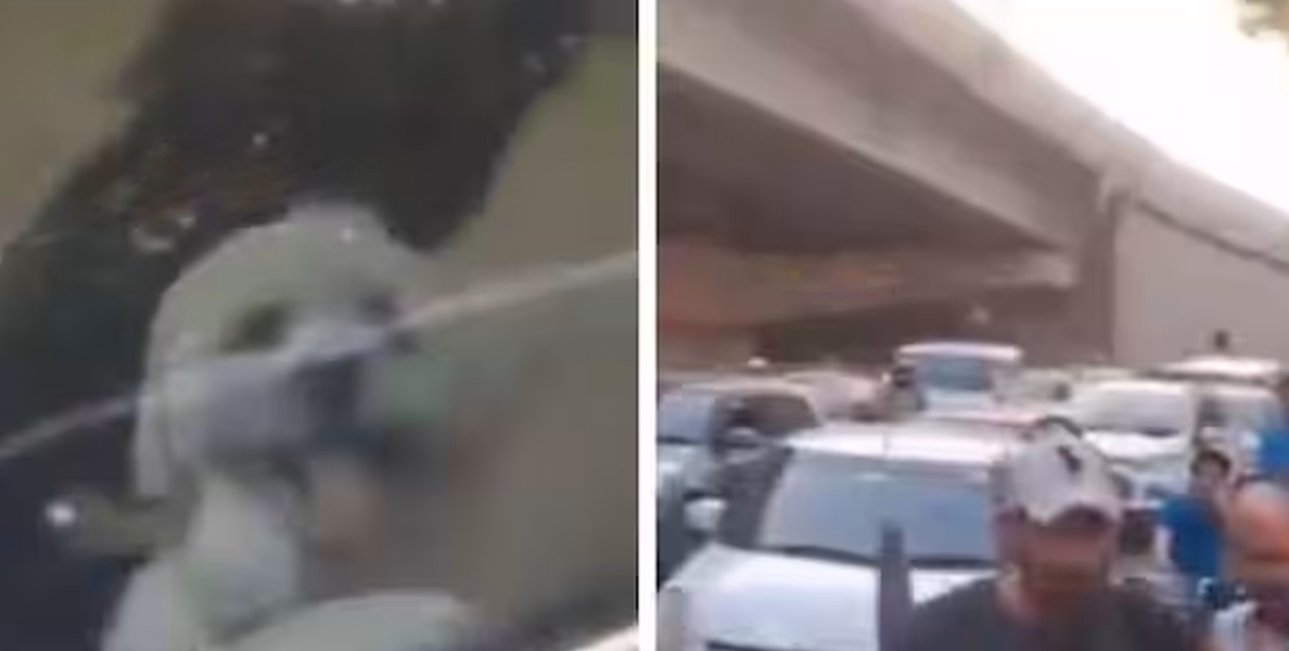 #Viral | 'എന്‍റെ പട്ടിയെ ആരടിച്ചാലും ഞാൻ തിരിച്ചടിക്കും'; പട്ടിയെ തല്ലിയതിന് ട്രാഫിക് തന്നെ നിശ്ചലമാക്കി യുവാവ് 