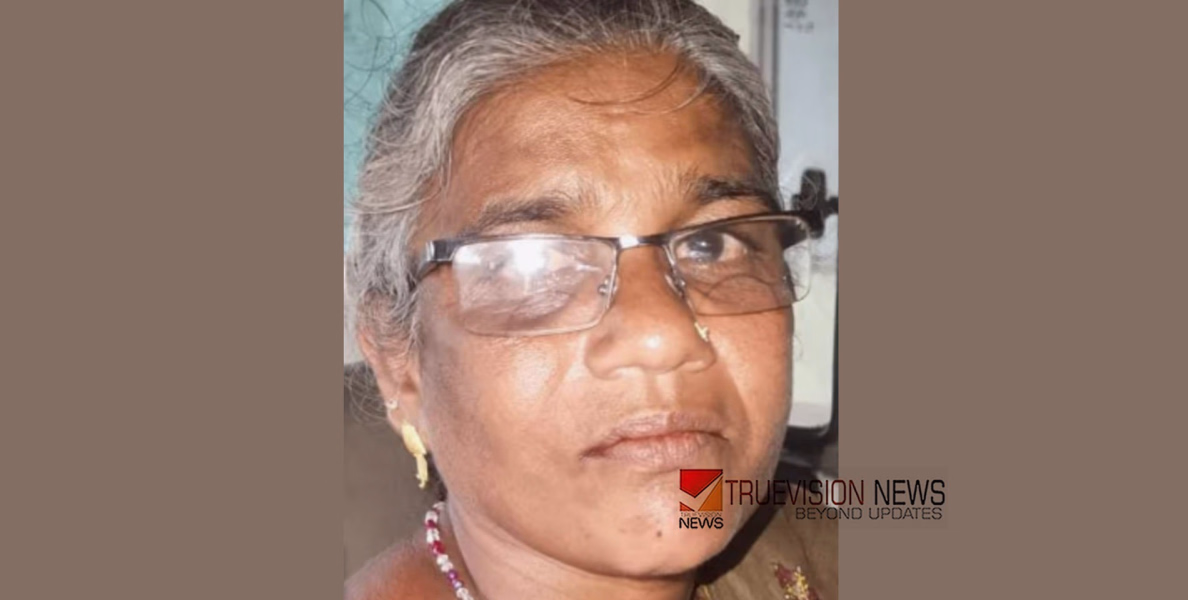 വേളാങ്കണ്ണി മാതാവിന്റെ ‘അവതാരം’ എന്ന പേരിൽ വയോധികയെ കബളിപ്പിച്ച് പണവും സ്വര്‍ണവും തട്ടി; സി.സി.ടി.വി നോക്കി പ്രതിയെ പൊക്കി