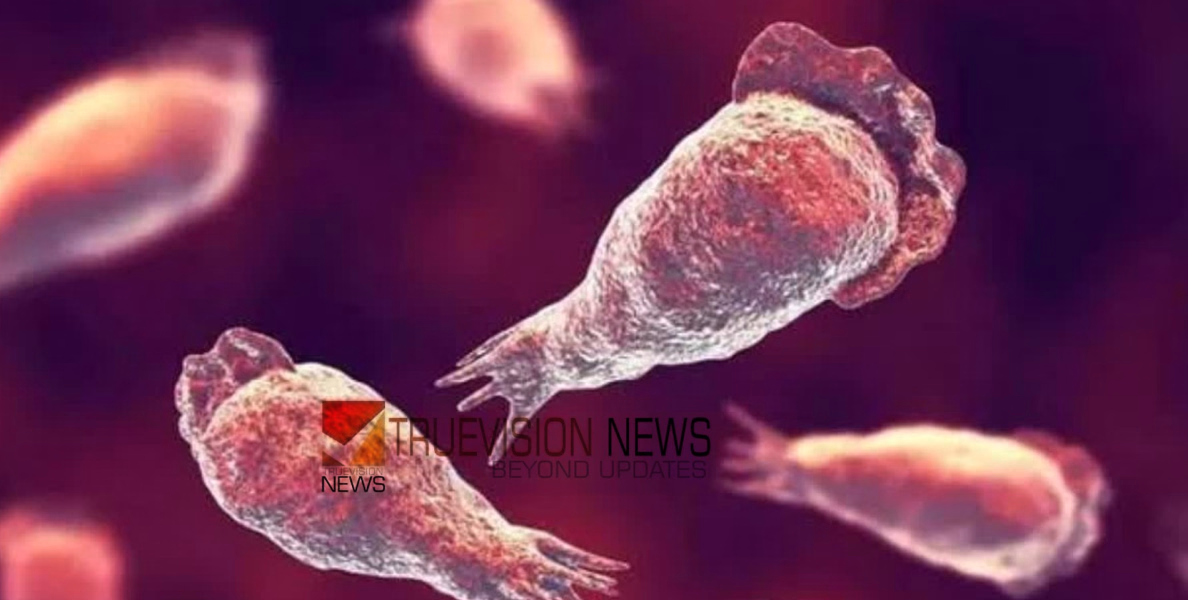 അമീബിക് മസ്‌തിഷ്‌ക ജ്വരമെന്ന് സംശയം: ടാപ്പിങ് തൊഴിലാളി മെഡിക്കൽ കോളേജ് ആശുപത്രിയിൽ  ചികിത്സയിൽ