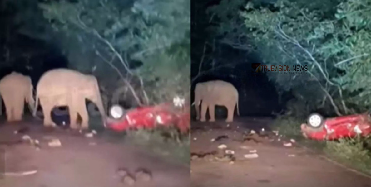 'ഈ കാർ അത്ര പോരാ' ;അതിരപ്പിള്ളിയിൽ കാട്ടാനക്കൂട്ടം നിർത്തിയിട്ട കാർ തകർത്തു