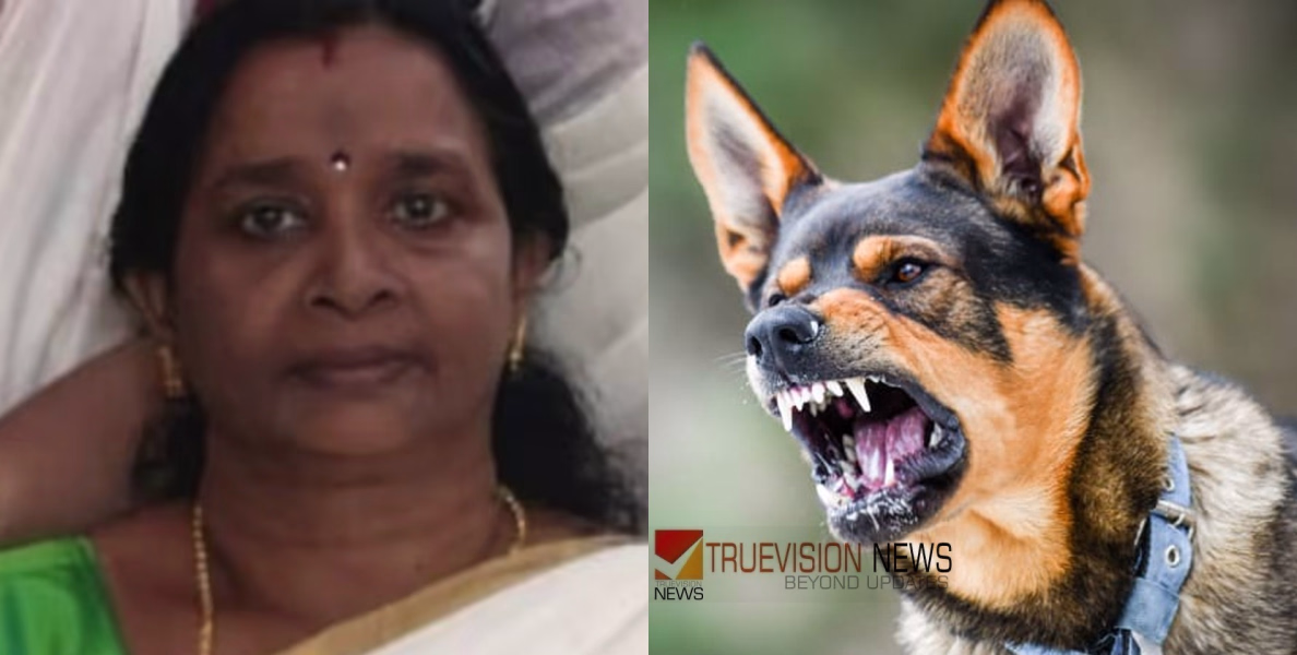 പത്തനംതിട്ടയില്‍ പേ വിഷബാധയേറ്റ് വീട്ടമ്മയ്ക്ക് ദാരുണാന്ത്യം