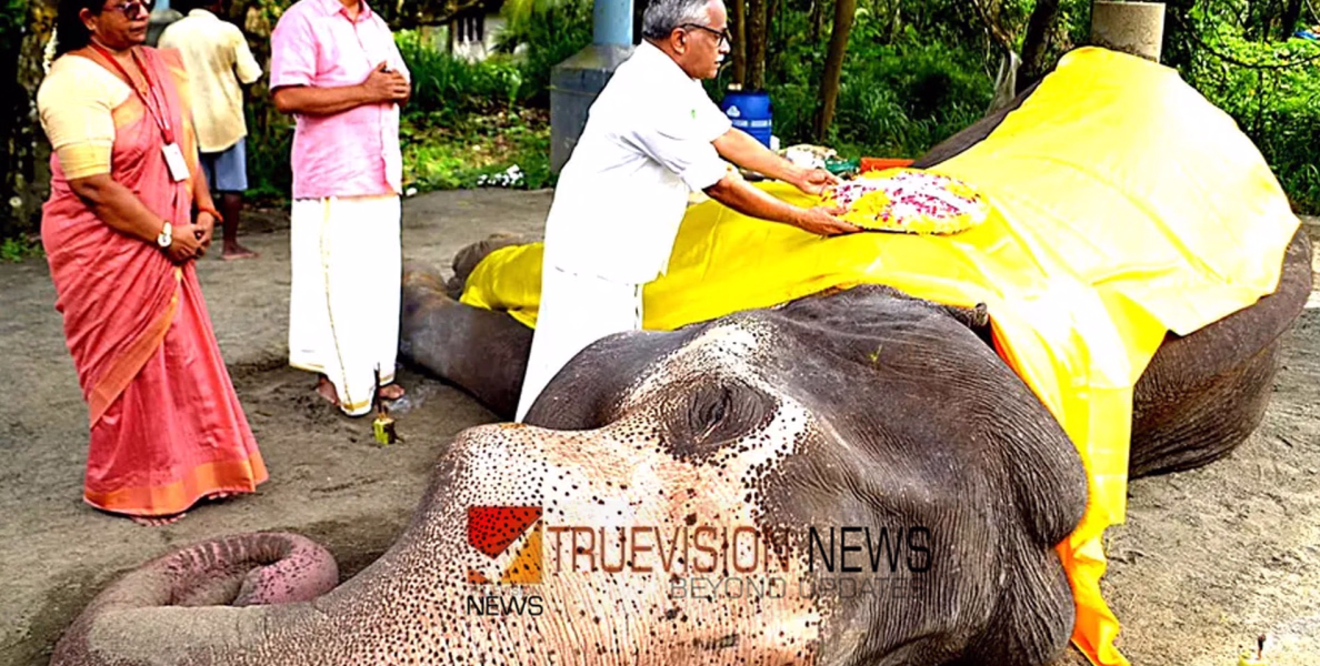 ചരിഞ്ഞ കൊമ്പൻ ഗോകുലിന് മർദ്ദനമേറ്റിരുന്നതായി റിപ്പോർട്ട്; രണ്ടു പാപ്പാന്മാർക്ക് സസ്‌പെൻഷൻ 