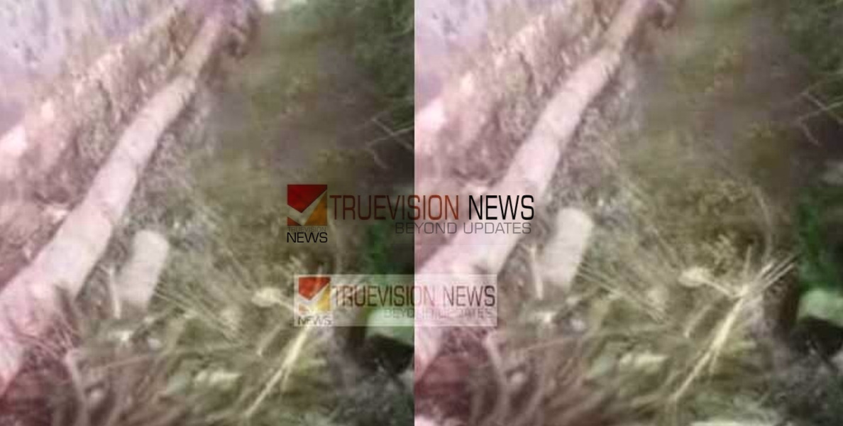 ചൊക്ലിയിൽ കടയിലേക്ക് പോകവെ തെങ്ങ് ദേഹത്ത് വീണ്‌, വിദ്യാർത്ഥിക്ക് പരിക്ക്