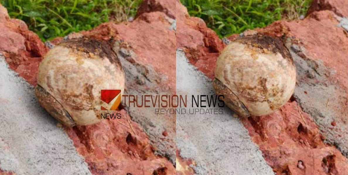 കണ്ട് ഞെട്ടി...:  നീലേശ്വരത്ത് സ്വകാര്യ വ്യക്തിയുടെ പറമ്പിൽ ‘ഐസ്ക്രീം ബോംബെ’ന്ന് സംശയം, പരിശോധന നടത്തി പൊലീസ്