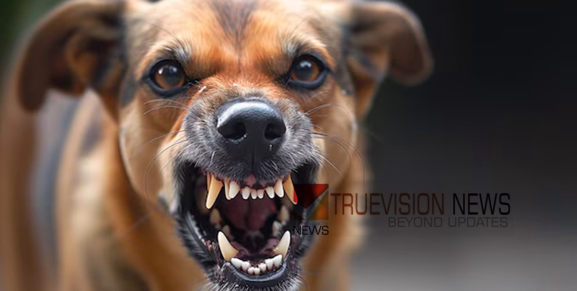 കണ്ണൂരില്‍ സ്ഥാനാര്‍ഥിയെ പട്ടി കടിച്ചു; ആക്രമണം നാമനിര്‍ദ്ദേശപത്രികയുടെ സൂക്ഷ്മപരിശോധനയ്ക്കായി പോകുമ്പോള്‍ 