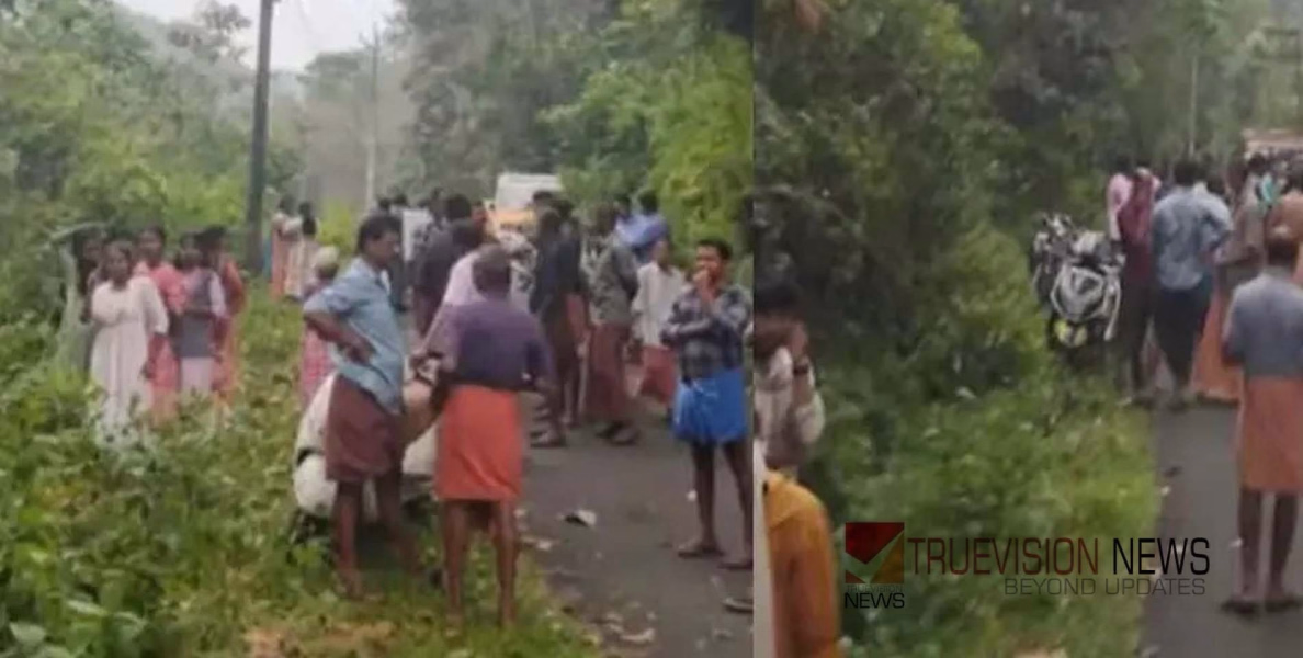പാമ്പിനെ കണ്ട് വെട്ടിച്ചു, പത്തനംതിട്ടയിൽ സ്കൂൾ കുട്ടികളുമായി പോയ ഓട്ടോ തോട്ടിലേക്ക് മറിഞ്ഞ് അപകടം; ഒരു വിദ്യാർത്ഥിനി മരിച്ചു