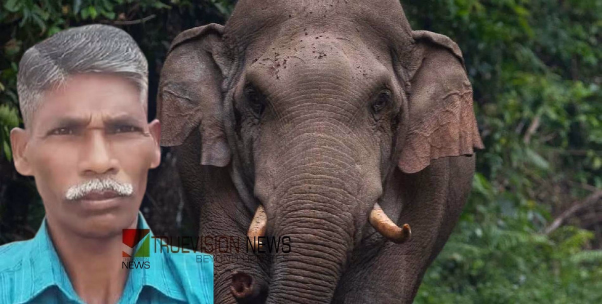 പാലക്കാട് കടുവ സെന്‍സസിനിടെ വനം വകുപ്പ് ജീവനക്കാരന്‍ കാട്ടാന ആക്രമണത്തിൽ കൊല്ലപ്പെട്ടു 