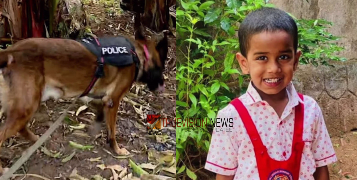 സുഹാൻ എവിടെ? അമ്മ സ്കൂളിൽ പോയ സമയത്ത്  സഹോദരനുമായി പിണങ്ങി വീട്ടിൽ നിന്നും ഇറങ്ങി, ചിറ്റൂരിൽ രാത്രിയിലും തെരച്ചിൽ 