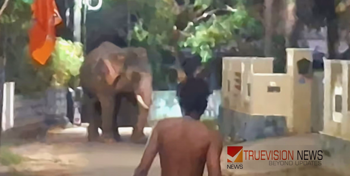 ചാലക്കുടിയിൽ കൊമ്പൻ ഇടഞ്ഞു; ഏറെ നേരത്തെ പരിശ്രമത്തിനൊടുവിൽ ആനയെ തളച്ചു