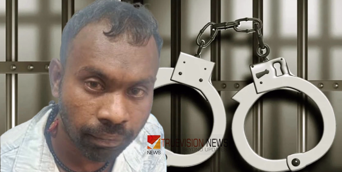 വല്ല കാര്യം ഉണ്ടായിരുന്നോ? ജയിൽ മോചിതനായെത്തി യുവതിയെ അപമാനിക്കാൻ ശ്രമം; യുവാവ് വീണ്ടും അറസ്റ്റിൽ