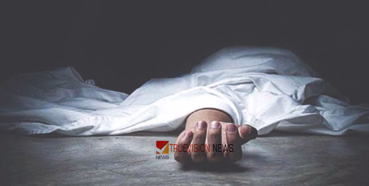 വീട് വൃത്തിയാക്കുന്നതിനിടെ അപകടം; പാലക്കാട് പ്രഷർ ​ഗണ്ണിൽ നിന്ന് ഷോക്കേറ്റ് യുവാവ് മരിച്ചു