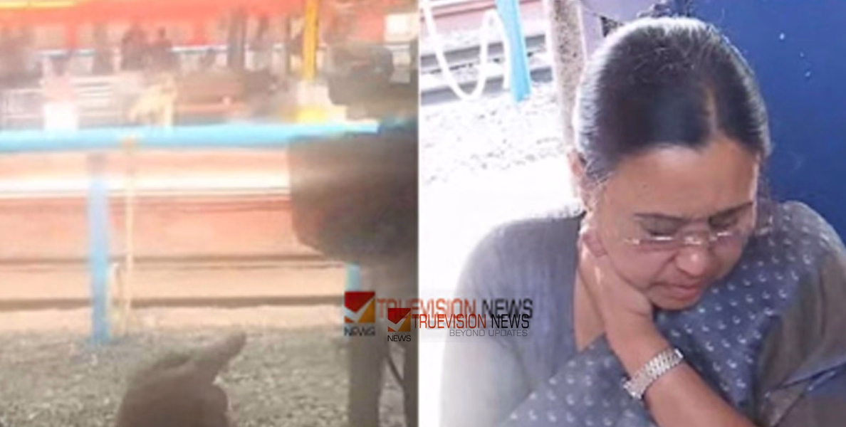വീണാ ജോർജിനെതിരായ ആക്രമണം; കെഎസ്‌യു നേതാക്കൾക്കെതിരെ വധശ്രമത്തിന് കേസെടുത്തു 