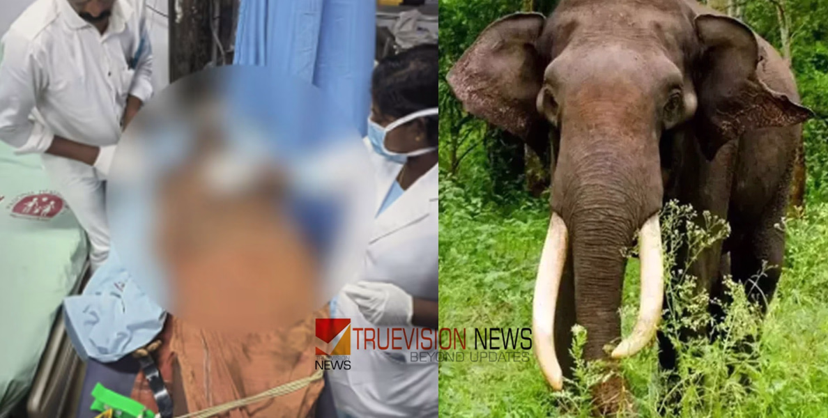  വീട്ടുമുറ്റത്ത് നിൽക്കുന്നതിനിടെ കാട്ടാന പാഞ്ഞടുത്തു; കണ്ണൂർ ആറളം ഫാമിൽ കാട്ടാന ആക്രമണത്തിൽ യുവാവ് കൊല്ലപ്പെട്ടു 