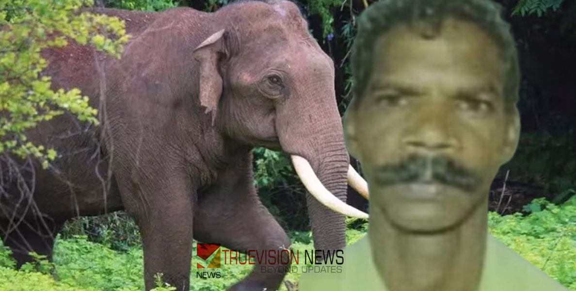 വന വിഭവങ്ങൾ ശേഖരിക്കാൻ പോയപ്പോൾ കാട്ടാന ആക്രമണം;  തൃശ്ശൂരിൽ  വനം വകുപ്പ് വാച്ചർക്ക് ദാരുണാന്ത്യം