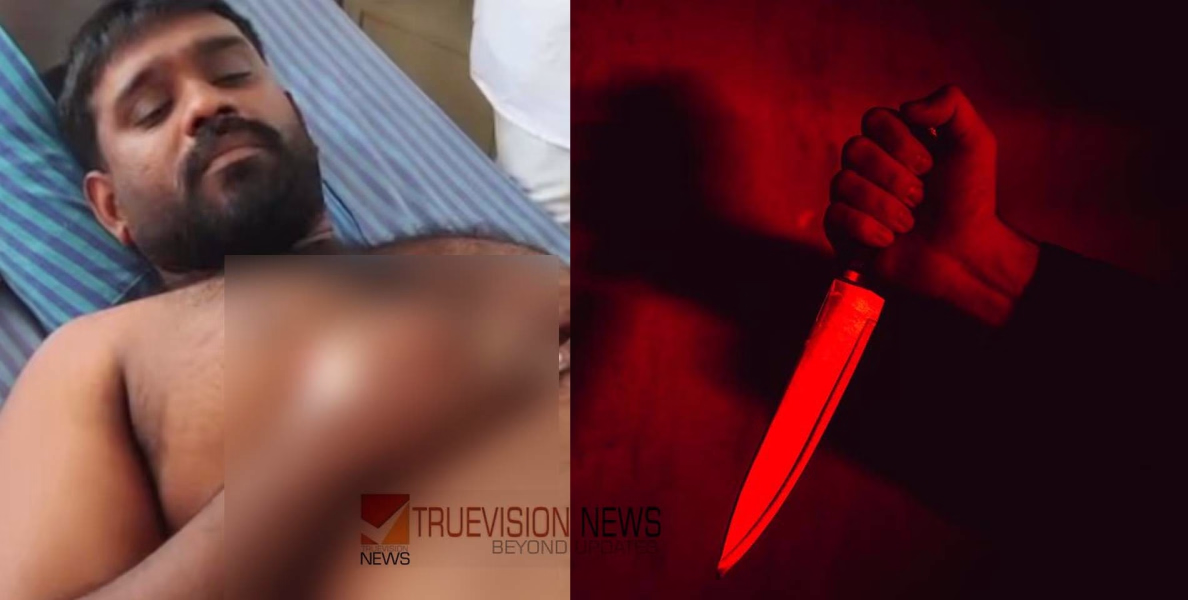പൂരത്തിനിടെ സംഘർഷം, പാലക്കാട് സിപിഎം ബ്രാഞ്ച് സെക്രട്ടറി ഉൾപ്പെടെ രണ്ട് പേർക്ക് കുത്തേറ്റു