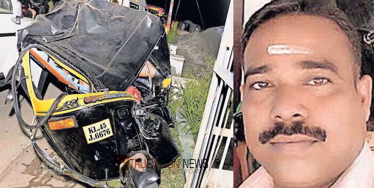 കാട്ടുപൂച്ചയെ രക്ഷിക്കാൻ ഓട്ടോ വെട്ടിച്ചു; ബസിനടിയിൽപെട്ട് ഡ്രൈവർക്ക് ദാരുണാന്ത്യം