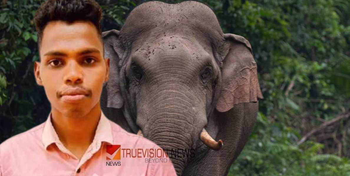 മണ്ണാര്‍ക്കാട് കാട്ടാന ആക്രമണത്തില്‍ ഫോറസ്റ്റ് വാച്ചര്‍ക്ക് ദാരുണാന്ത്യം