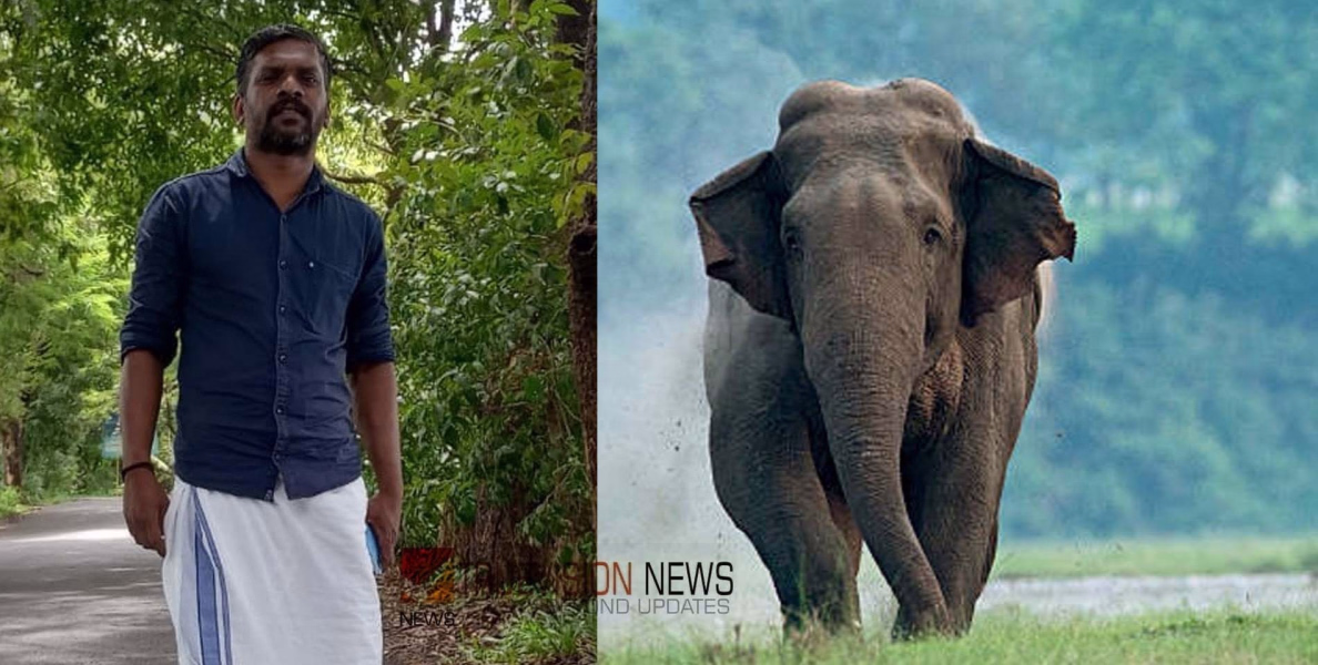 തൃശൂര്‍ ചിമ്മിനിയിൽ കാട്ടാന ആക്രമണം; ഫോറസ്റ്റ് വാച്ചർ കൊല്ലപ്പെട്ടു