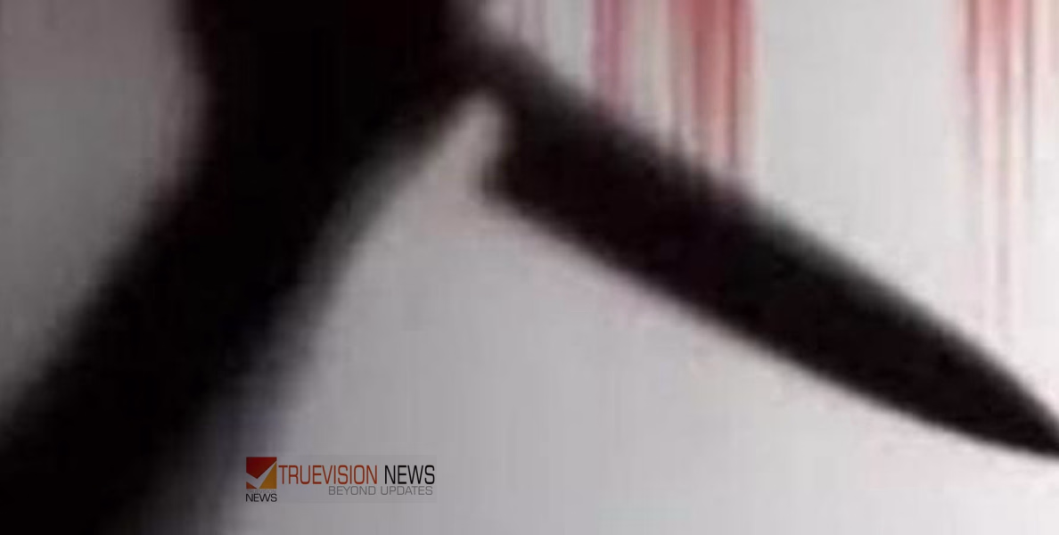 പാലക്കാട് മീന്‍പിടിക്കുന്നതിനിടെ തര്‍ക്കം; കോഴിക്കോട് സ്വദേശിയായ വിദ്യാര്‍ത്ഥിക്ക് കുത്തേറ്റു