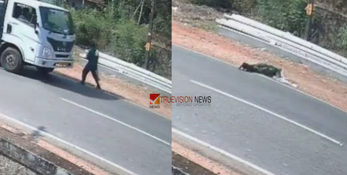പാലക്കാട് ലോറിയിടിച്ച് ഭിന്നശേഷിക്കാരന് പരിക്ക്; ഇടിച്ചിട്ട ശേഷം ലോറി നിർത്താതെ പോയി