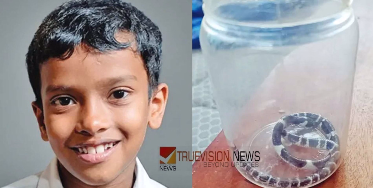 ആല്‍ജോയ്ക്ക് പാമ്പുകടിയേറ്റത് ചുണ്ടില്‍; വയറുവേദന വന്നപ്പോള്‍ ഭക്ഷണത്തിന്‍റെ പ്രശ്നമെന്ന് കരുതി, സഹോദരൻ ഗുരുതരാവസ്ഥയിൽ