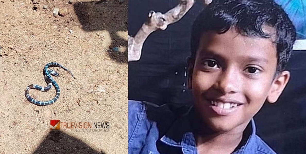 ആൽജോയുടെ മൃതദേഹം വീട്ടിലെത്തിച്ചു; കോടാലിയില്‍ പാമ്പുകടിയേറ്റ് മരിച്ച കുട്ടിയുടെ വീട്ടില്‍ വീണ്ടും ശംഖുവരയന്‍ പാമ്പിനെ കണ്ടെത്തി 