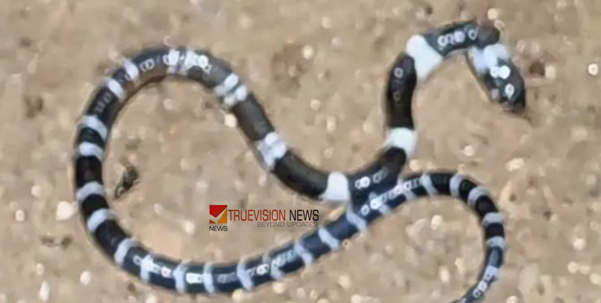 അനോഷ് കണ്ണ് തുറന്നു: കൊടകരയില്‍ പാമ്പുകടിയേറ്റ് ചികിത്സയില്‍ കഴിയുന്ന കുട്ടിയുടെ ആരോഗ്യ നിലയില്‍ പുരോഗതി