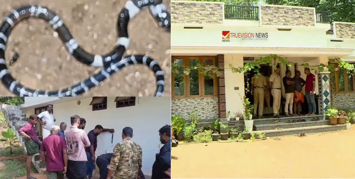 പാമ്പുകടിയേറ്റ് 8 വയസ്സുകാരൻ മരിച്ച സംഭവം; ഉറവിടം കണ്ടെത്താൻ വീടിന്റെ തറ പൊളിച്ചുനീക്കി പരിശോധന 