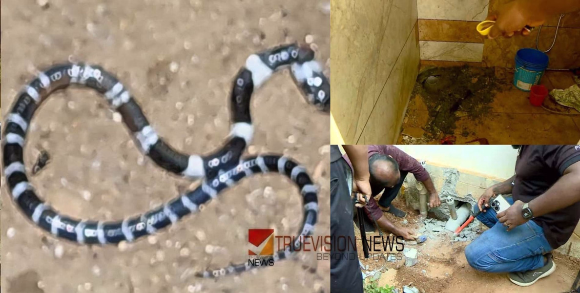 ഉറവിടം കണ്ടെത്താനായില്ല, കോടാലിയിൽ പാമ്പുകടിയേറ്റ സഹോദരങ്ങളുടെ വീട്ടില്‍ തറ പൊളിച്ച് നടത്തിയ പരിശോധന 'സർപ്പ' ടീം അവസാനിപ്പിച്ചു