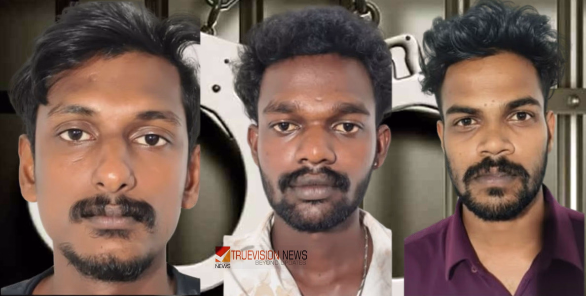 ഒൻപത് മാസം ഗർഭിണിയായ യുവതിയെ ആക്രമിച്ച കേസ്; മൂന്നംഗ സംഘം പിടിയിൽ