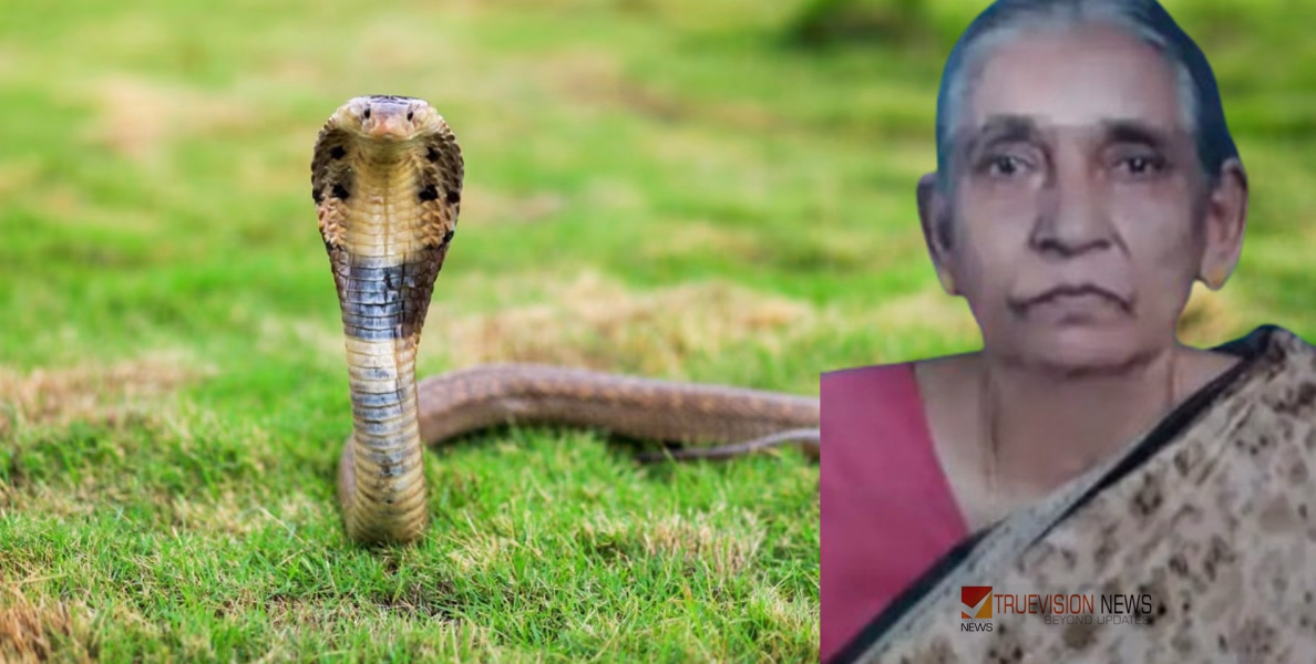 വീണ്ടും പാമ്പുകടിയേറ്റ് മരണം; കണ്ണൂരിൽ വയോധിക ചികിത്സയിലിരിക്കെ മരിച്ചു