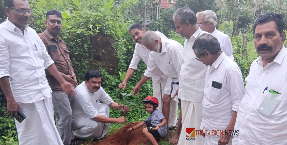 പരിസ്ഥിതി ദിനം; എസി ഷൺമുഖദാസ് സ്മരണയിൽ എൻസിപി സ്മൃതിവൃക്ഷം നട്ടു