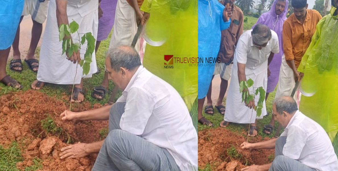 പരിസ്ഥിതി ദിനാചരണം; കർഷക സംഘം വൃക്ഷത്തൈ നട്ടു