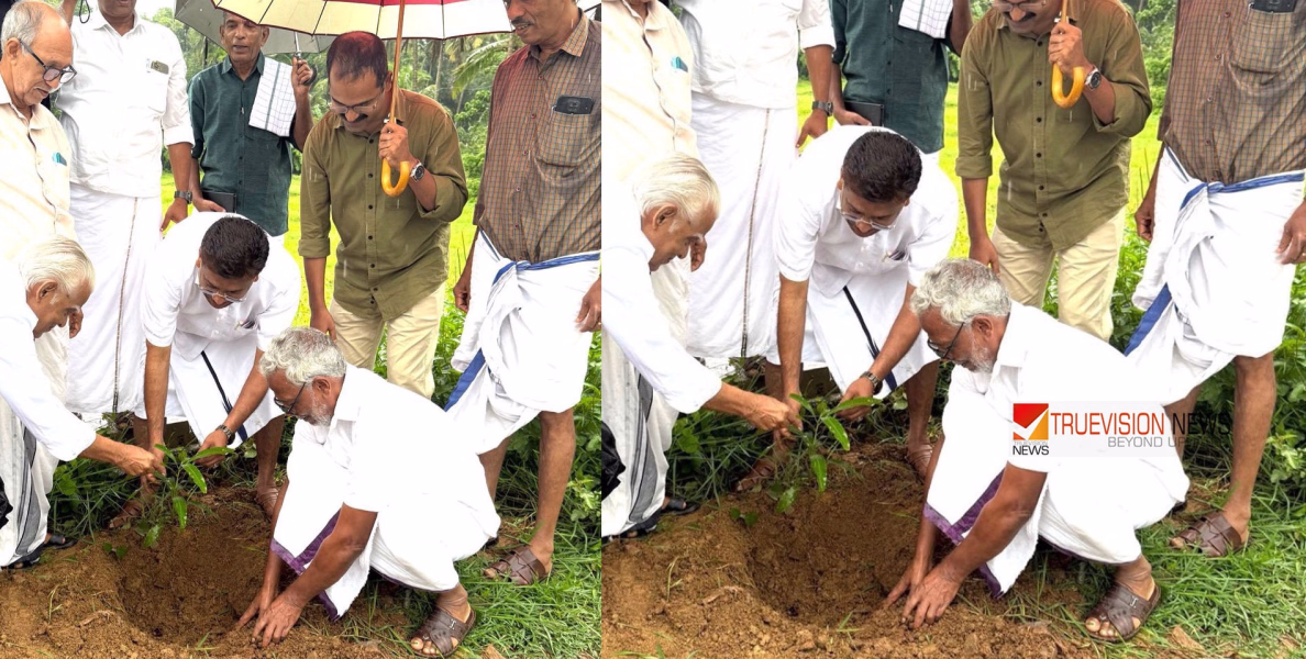 കെ എസ് എസ് പി യു ആയഞ്ചേരി യൂനിറ്റ് പരിസ്ഥിതി ദിനം സമുചിതമായ ആചരിച്ചു