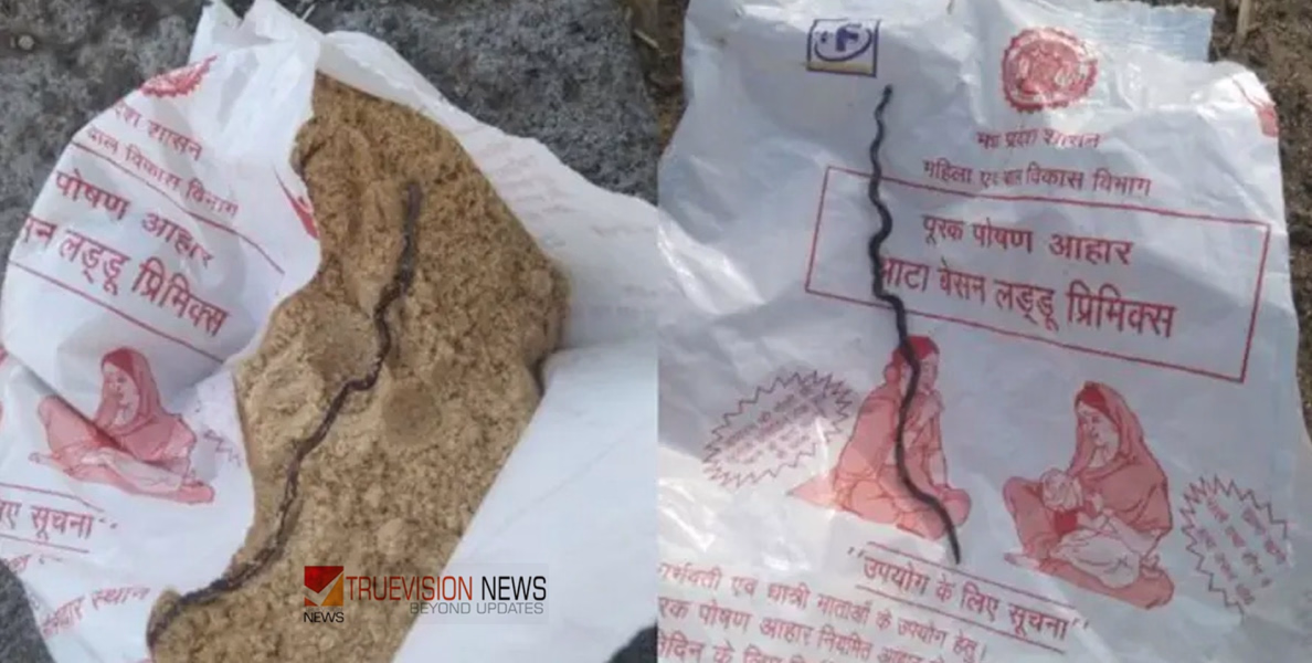 മധ്യപ്രദേശിൽ ഗർഭിണിക്ക് നൽകിയ പോഷകാഹാര പാക്കറ്റിൽ പാമ്പിൻകുഞ്ഞ്; അധികൃതർക്കെതിരെ നാട്ടുകാരുടെ പ്രതിഷേധം